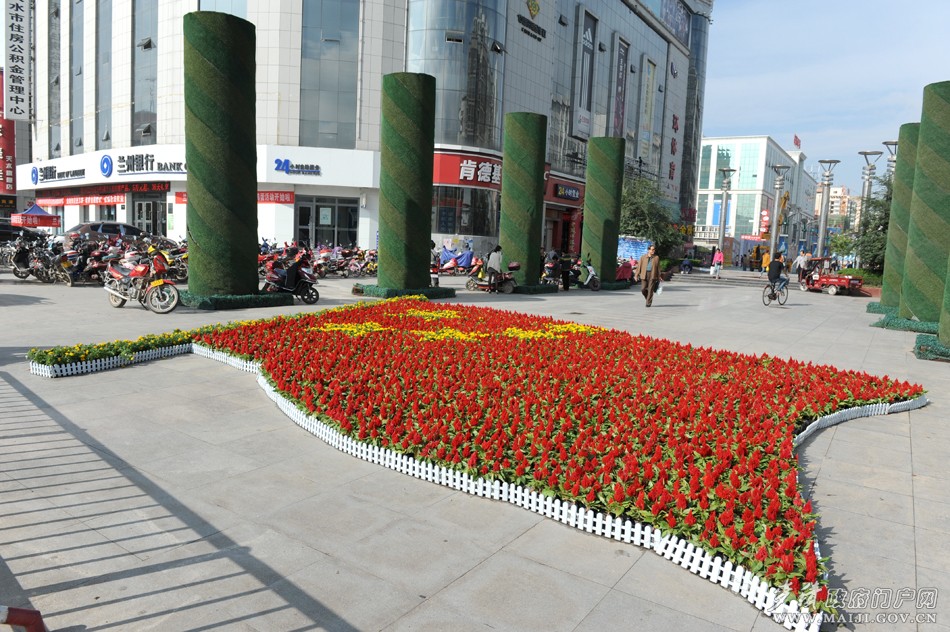 江苏沭阳:“双节”临近花木市场购销两旺(图1)